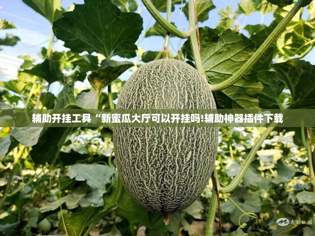 辅助开挂工具“新蜜瓜大厅可以开挂吗!辅助神器插件下载