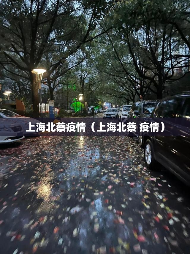 上海北蔡疫情（上海北蔡 疫情）