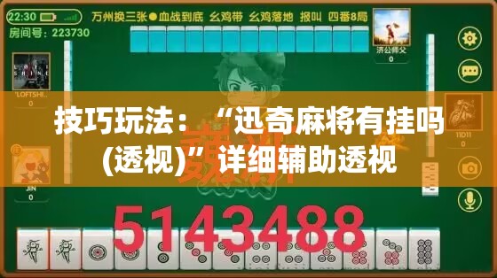 技巧玩法：“迅奇麻将有挂吗(透视)”详细辅助透视