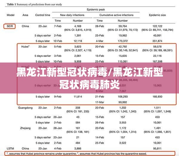 黑龙江新型冠状病毒/黑龙江新型冠状病毒肺炎
