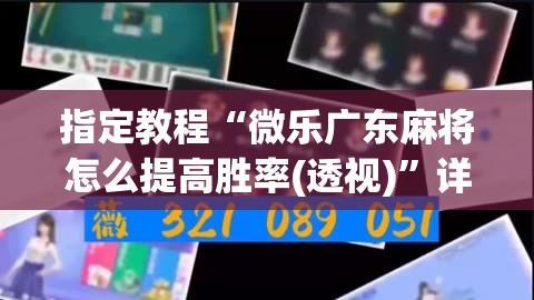 指定教程“微乐广东麻将怎么提高胜率(透视)”详细辅助透视