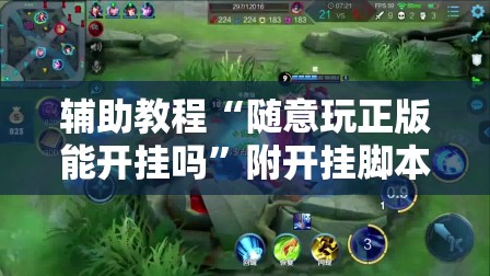 辅助教程“随意玩正版能开挂吗”附开挂脚本详细教程