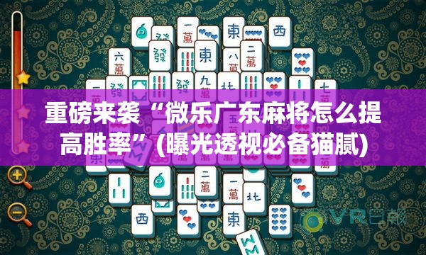 重磅来袭“微乐广东麻将怎么提高胜率”(曝光透视必备猫腻)