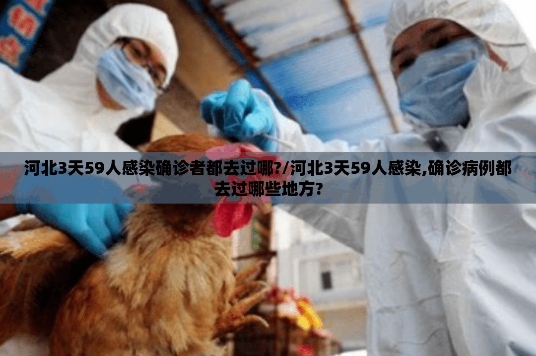 河北3天59人感染确诊者都去过哪?/河北3天59人感染,确诊病例都去过哪些地方?