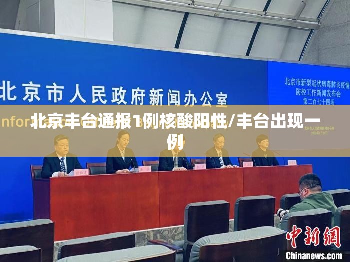 北京丰台通报1例核酸阳性/丰台出现一例
