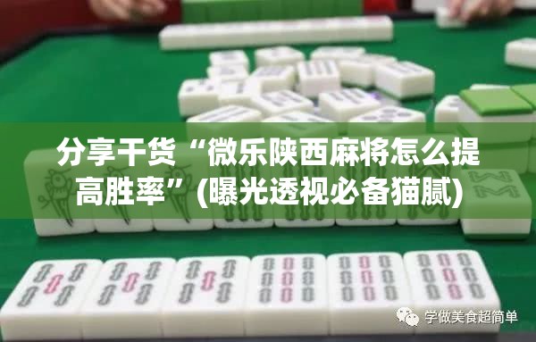 分享干货“微乐陕西麻将怎么提高胜率”(曝光透视必备猫腻)