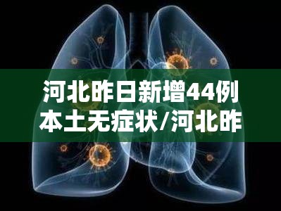河北昨日新增44例本土无症状/河北昨日新增82例确诊49例无症状