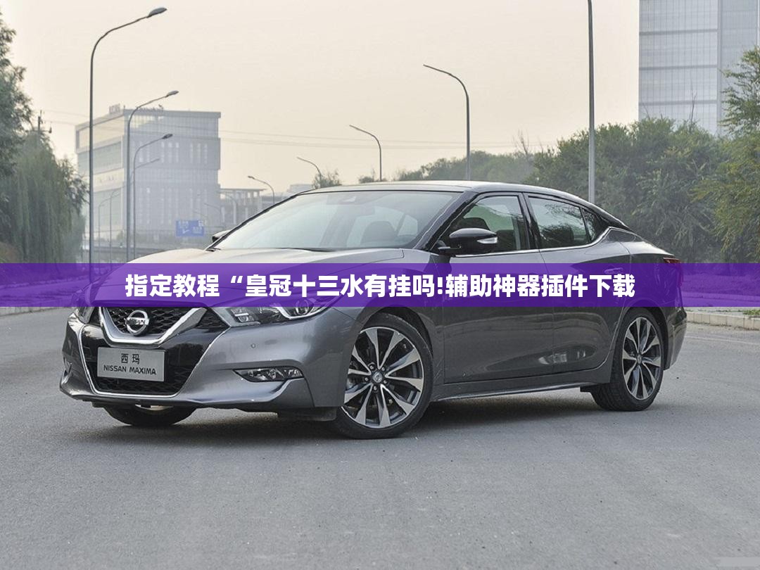 指定教程“皇冠十三水有挂吗!辅助神器插件下载