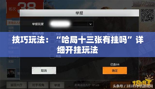 技巧玩法：“哈局十三张有挂吗”详细开挂玩法