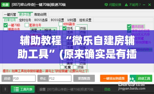 辅助教程“微乐自建房辅助工具”(原来确实是有插件)