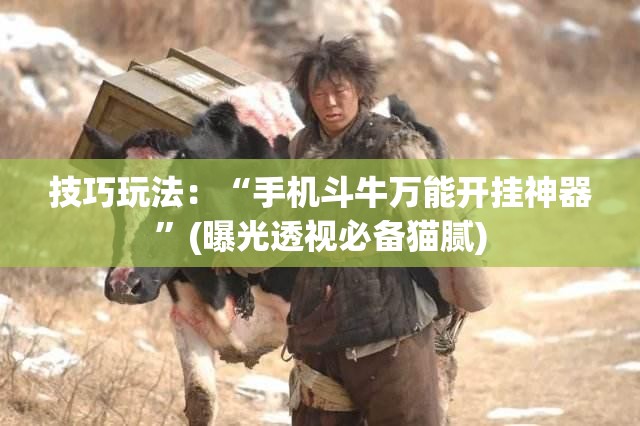 技巧玩法：“手机斗牛万能开挂神器”(曝光透视必备猫腻)