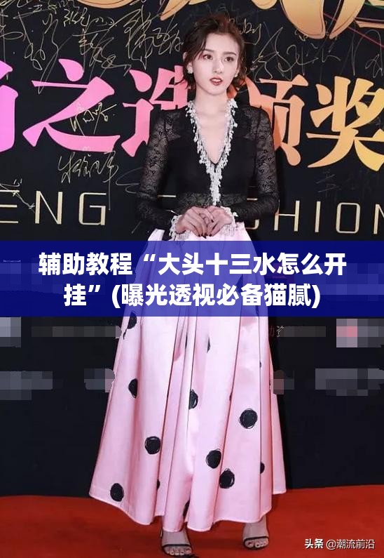 辅助教程“大头十三水怎么开挂”(曝光透视必备猫腻)