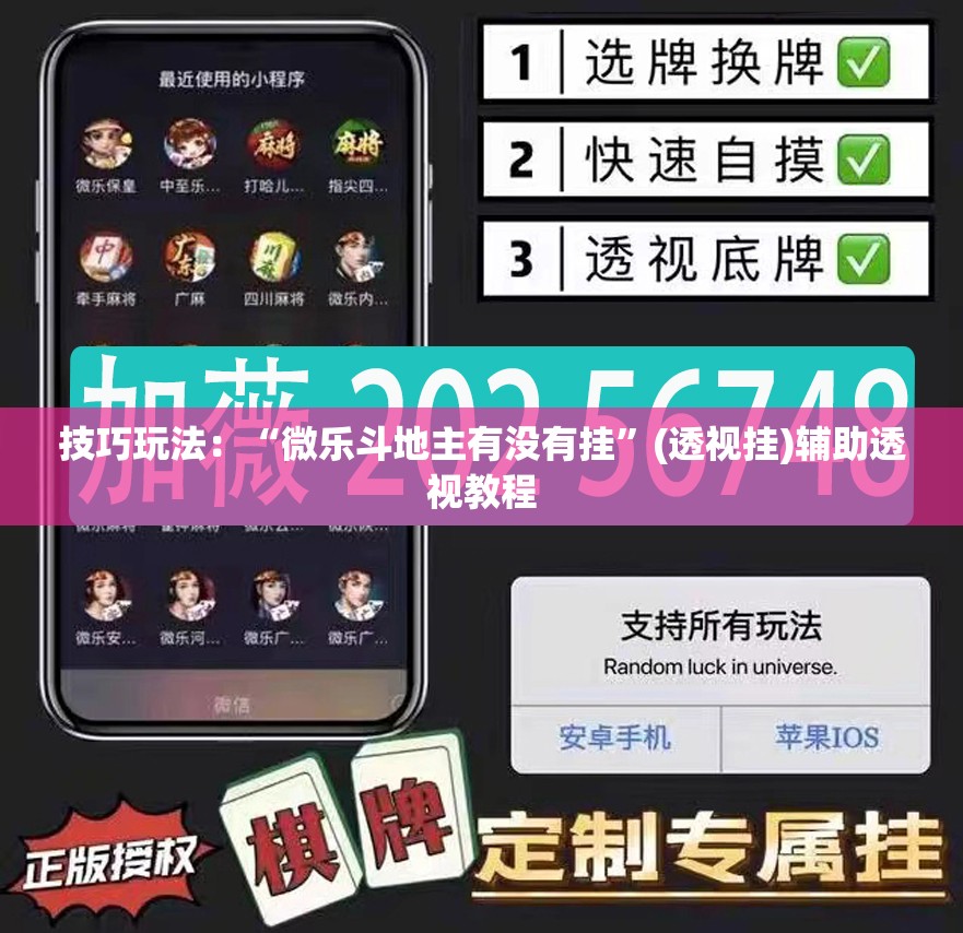 技巧玩法：“微乐斗地主有没有挂”(透视挂)辅助透视教程