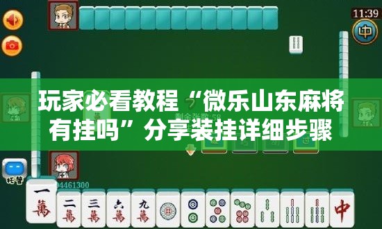 玩家必看教程“微乐山东麻将有挂吗”分享装挂详细步骤