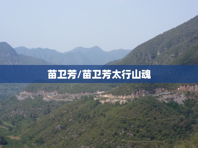 苗卫芳/苗卫芳太行山魂