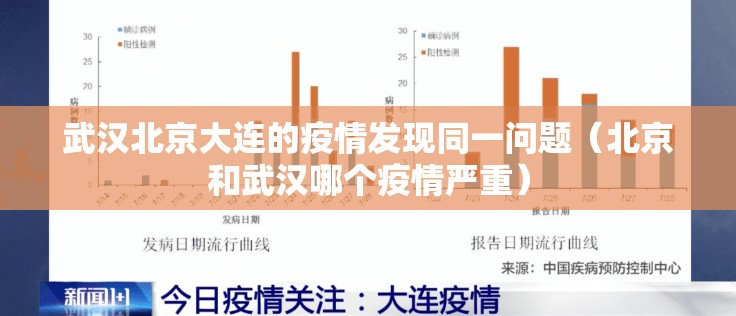武汉北京大连的疫情发现同一问题（北京和武汉哪个疫情严重）