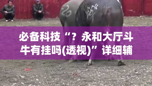 必备科技“？永和大厅斗牛有挂吗(透视)”详细辅助透视