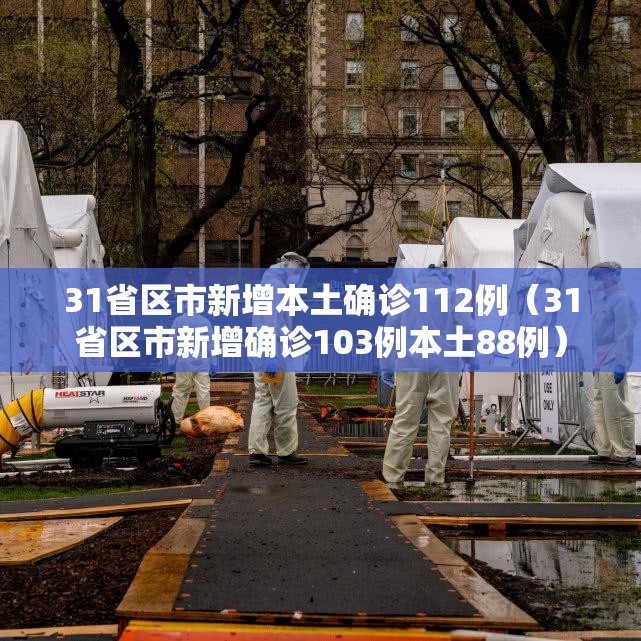 31省区市新增本土确诊112例（31省区市新增确诊103例本土88例）