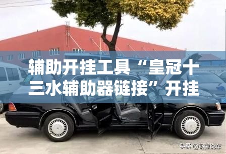 辅助开挂工具“皇冠十三水辅助器链接”开挂详细安装教程