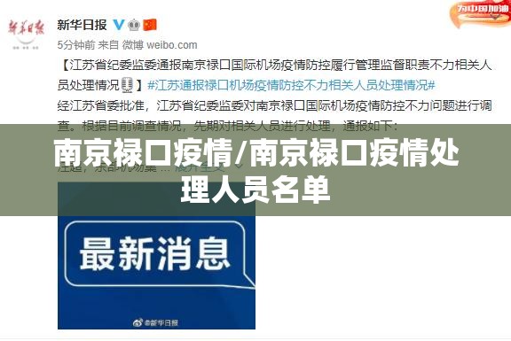 南京禄口疫情/南京禄口疫情处理人员名单