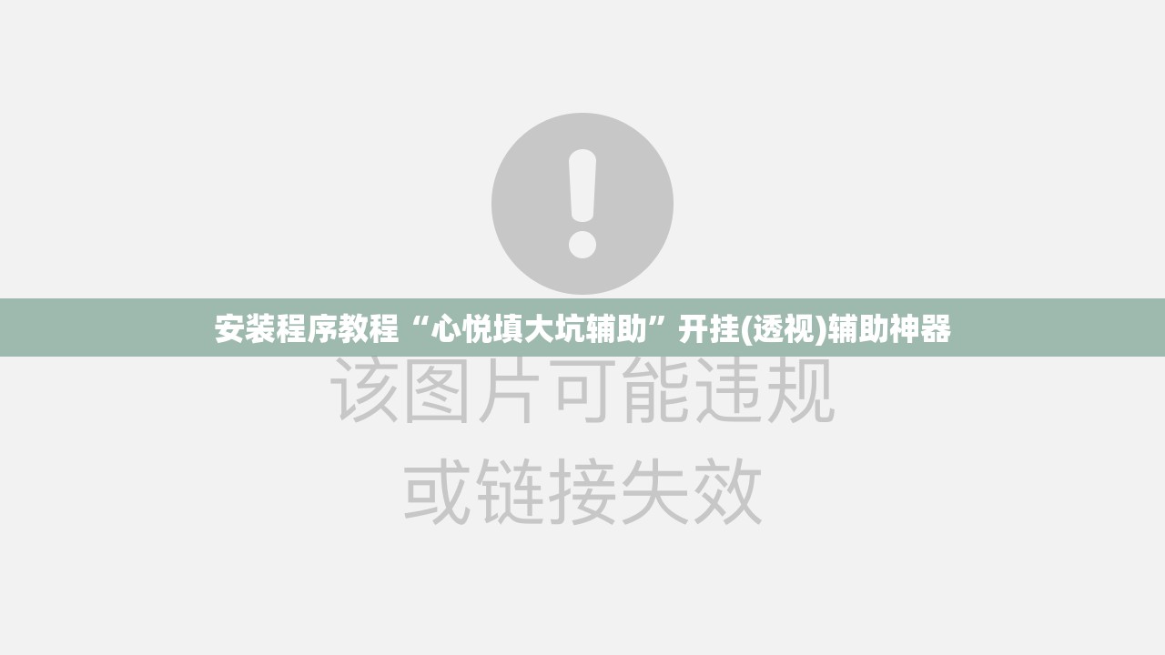 安装程序教程“心悦填大坑辅助”开挂(透视)辅助神器