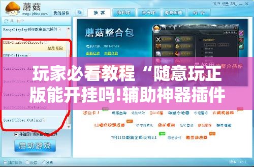 玩家必看教程“随意玩正版能开挂吗!辅助神器插件下载