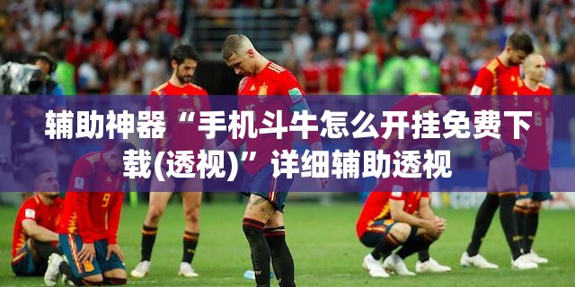 辅助神器“手机斗牛怎么开挂免费下载(透视)”详细辅助透视