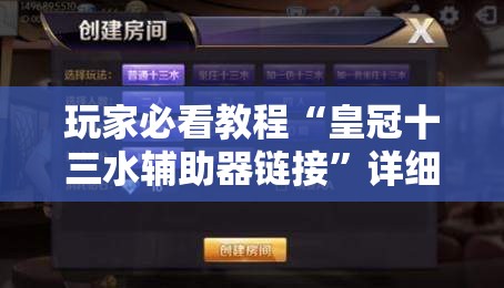 玩家必看教程“皇冠十三水辅助器链接”详细开挂玩法