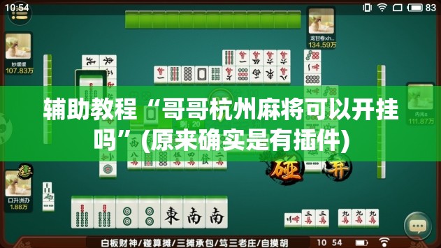 辅助教程“哥哥杭州麻将可以开挂吗”(原来确实是有插件)
