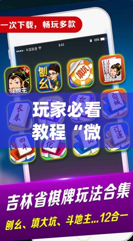 玩家必看教程“微乐亲友房怎么开挂免费使用”开挂(透视)辅助神器