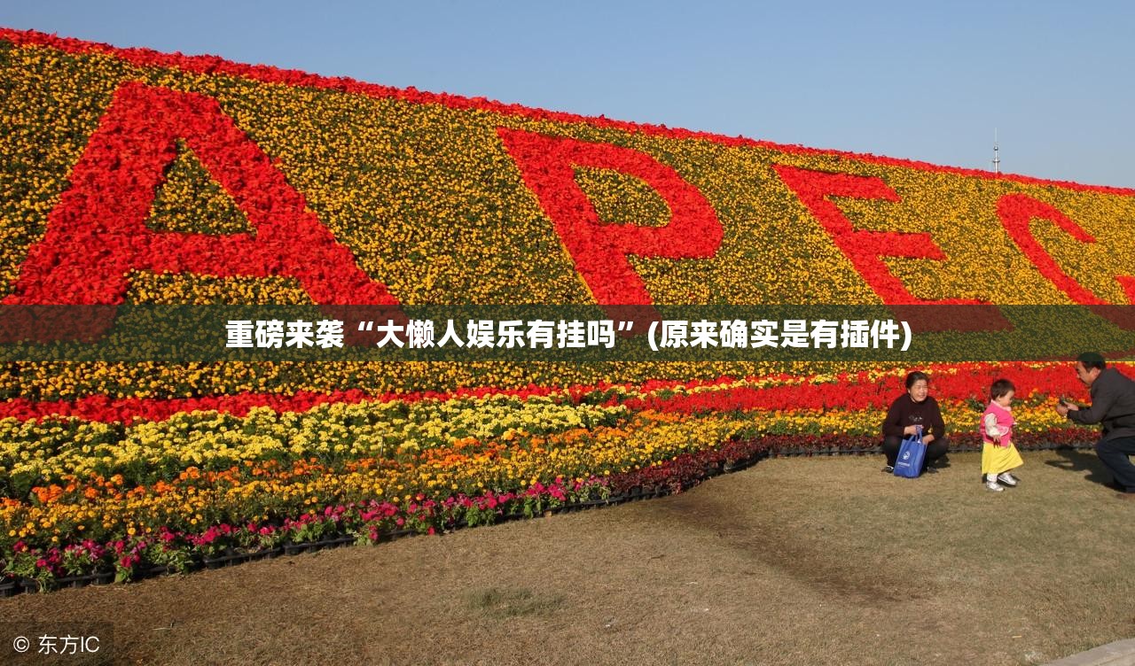 重磅来袭“大懒人娱乐有挂吗”(原来确实是有插件)