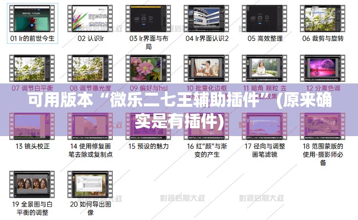 可用版本“微乐二七王辅助插件”(原来确实是有插件)