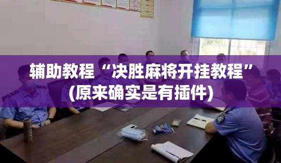辅助教程“决胜麻将开挂教程”(原来确实是有插件)