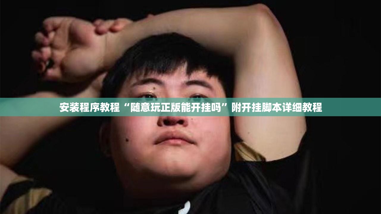 安装程序教程“随意玩正版能开挂吗”附开挂脚本详细教程