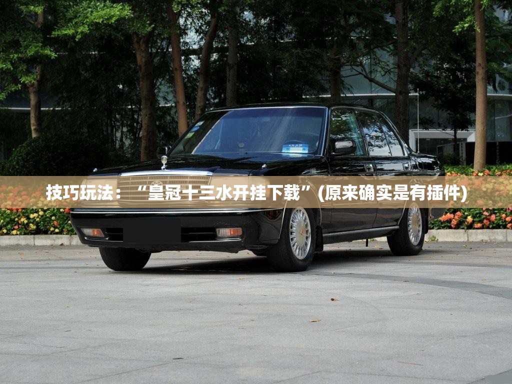 技巧玩法：“皇冠十三水开挂下载”(原来确实是有插件)