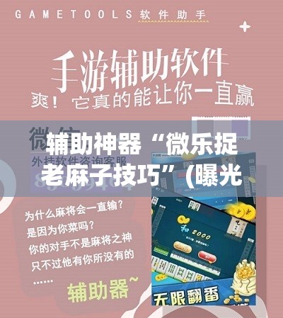 辅助神器“微乐捉老麻子技巧”(曝光透视必备猫腻)
