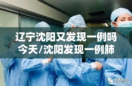 辽宁沈阳又发现一例吗今天/沈阳发现一例肺炎吗