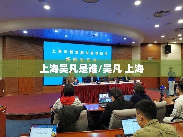 上海吴凡是谁/吴凡 上海