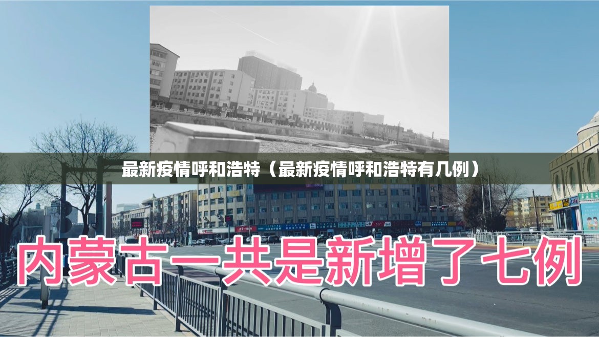 最新疫情呼和浩特（最新疫情呼和浩特有几例）