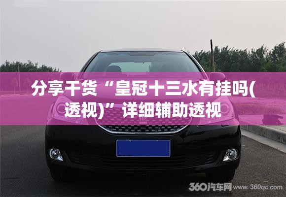 分享干货“皇冠十三水有挂吗(透视)”详细辅助透视