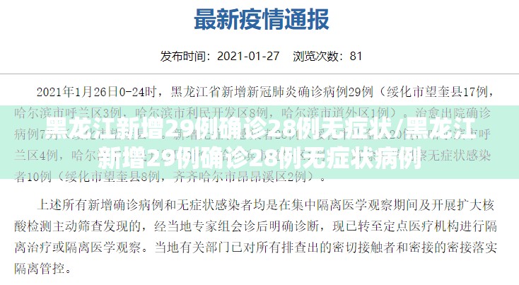黑龙江新增29例确诊28例无症状/黑龙江新增29例确诊28例无症状病例