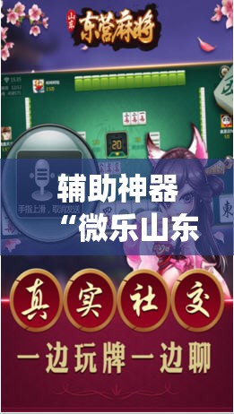 辅助神器“微乐山东麻将万能开挂器通用版”(原来确实是有插件)