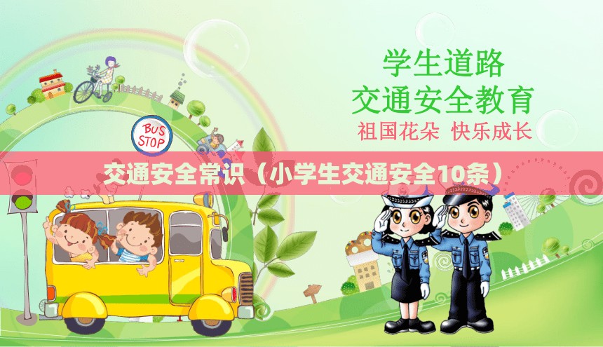 交通安全常识（小学生交通安全10条）