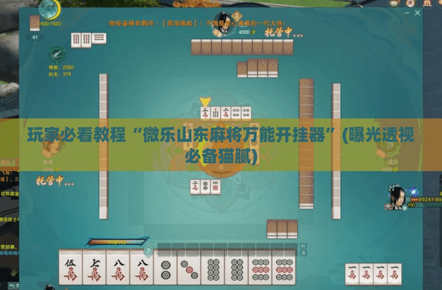 玩家必看教程“微乐山东麻将万能开挂器”(曝光透视必备猫腻)