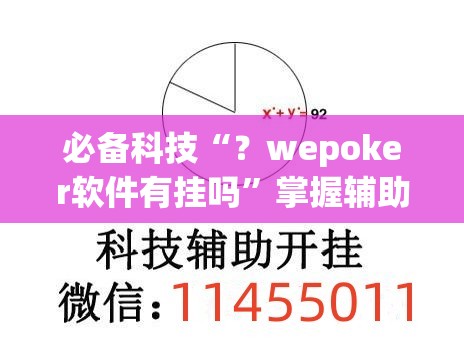 必备科技“？wepoker软件有挂吗”掌握辅助功能必胜规则