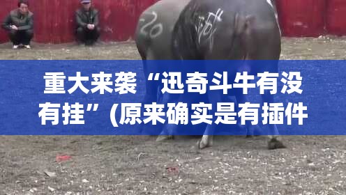 重大来袭“迅奇斗牛有没有挂”(原来确实是有插件)