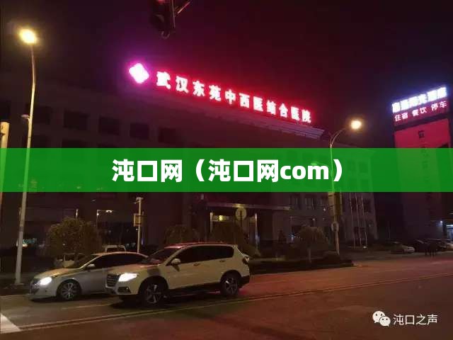 沌口网（沌口网com）