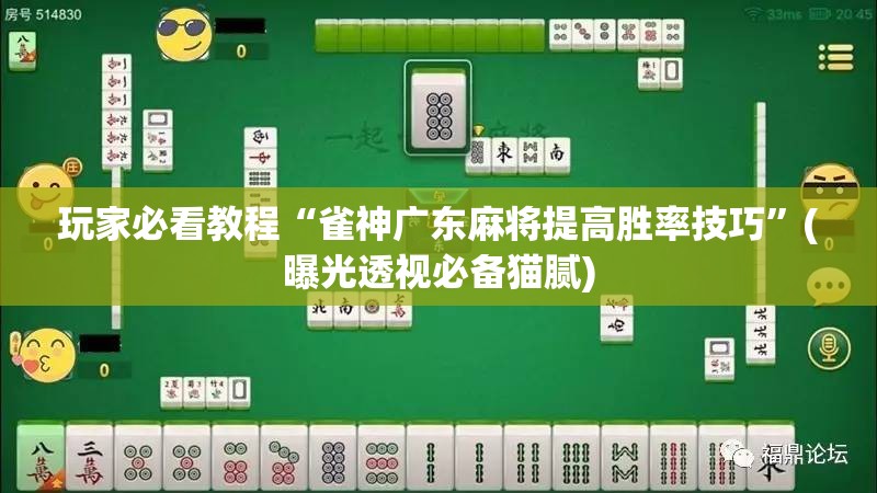 玩家必看教程“雀神广东麻将提高胜率技巧”(曝光透视必备猫腻)