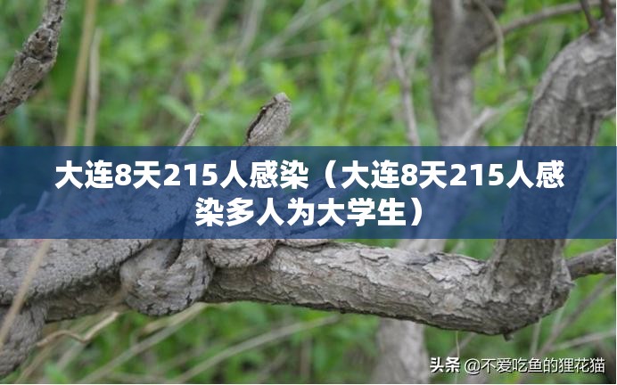 大连8天215人感染（大连8天215人感染多人为大学生）