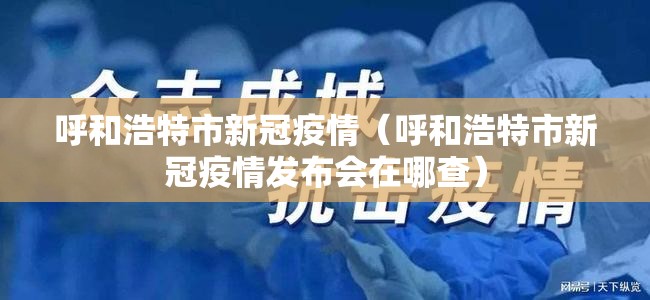 呼和浩特市新冠疫情（呼和浩特市新冠疫情发布会在哪查）